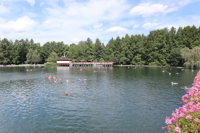 Inspiração Kelvandretina